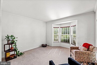 6904 Yeoman Ct, Fredericksburg, VA 22407 - photo 6