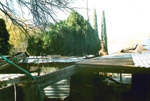 503282-1