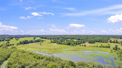 Bird's eye view featuring a rural view