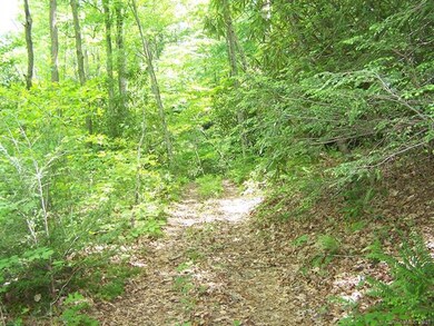 Interior Access Road