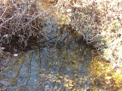 Lot 22 Summer City Rd, Evensville, TN 37332 - photo 2