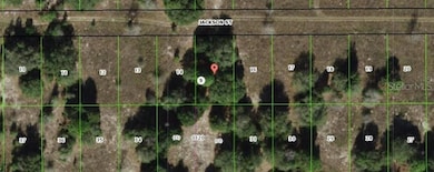 2403 Jackson St, Inverness, FL 34453 - photo 2