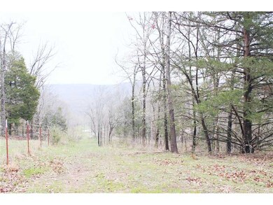 0 Bug Scuffle Rd unit 704288, West Fork, AR 72774 - photo 2
