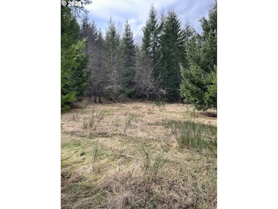 59370 NW Broad Way, Timber, OR 97144 - photo 4