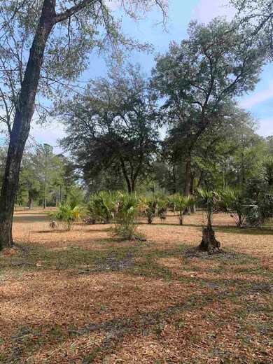 X Samuel Rd, Crawfordville, FL 32327 - photo 3