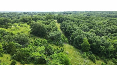 000 E Flick Ave, Worthington, MO 63561 - photo 7