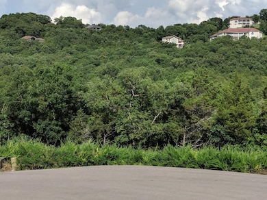 Lot 68 Summer Rd, Ruth B Rural Township, MO 65686 - photo 3