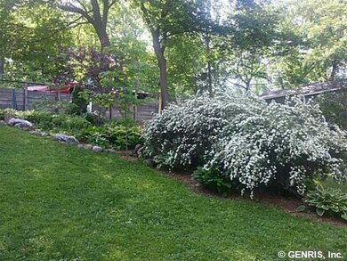 Yard