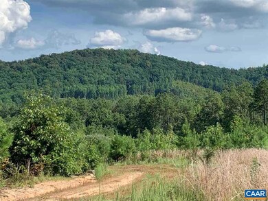 0 W Pounding Creek Rd, Charlottesville, VA 22903 - photo 7