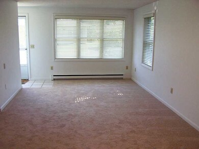 Living Room. Plenty of windows to let all the natu