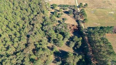 1756 Jacks Branch Rd, Cantonment, FL 32533 - photo 5