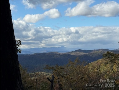 Lot 6 Miller Mountain Rd unit 6, Saluda, NC 28773 - photo 5