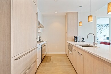 188 Brookline Ave unit 19E, Boston, MA 02215 - photo 6