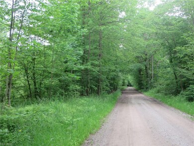 VL Calhoun & State Line Rd, Conneaut, OH 44030 - photo 4