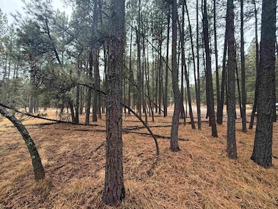 Lot 40 Valle Grande Trail, Angel Fire, NM 87710 - photo 3