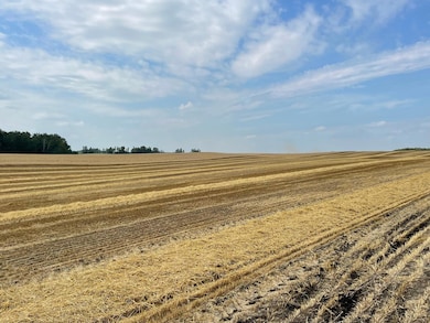 TBD 400th St, Erhards Grove Township, MN 56572 - photo 6