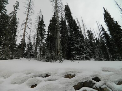 364 E Steam Engine Dr unit CBME U-B L-51, Brian Head, UT 84719 - photo 4