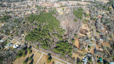 0 Marble City Heights Cir unit 21405884, Sylacauga, AL 35150 - photo 7