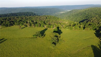 80 Acres Brannon Mountain Rd, Fayetteville, AR 72701 - photo 4