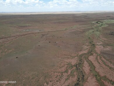 Photo_6553612_DJI_12_jpg_5796837_0_20227