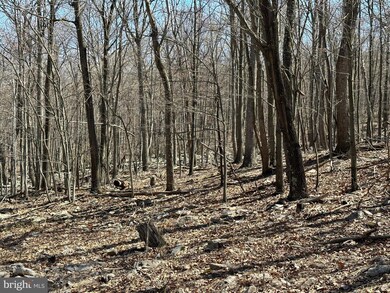 31 Eagle Mountain Rd, Paw Paw, WV 25434 - photo 2