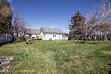 4 Large Back Yard