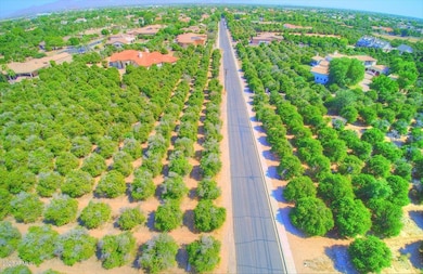 3643 E Huber St unit 2, Mesa, AZ 85205 - photo 3