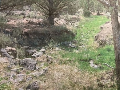 0 Tuledad Canyon unit 2906696, Termo, CA 96132 - photo 6