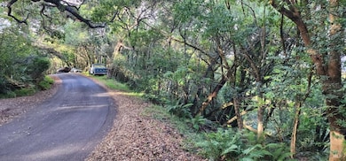 95 Highland Way, Inverness, CA 94937 - photo 2