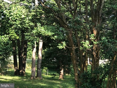 7225 Lanark Rd, Baltimore, MD 21212 - photo 7