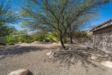 backyard.jpg