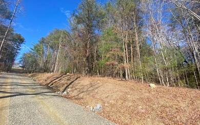 Additional View