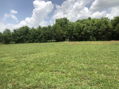 340 Frank Martin Rd, Shelbyville, TN 37160 - photo 5