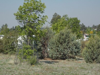 DSCN5909