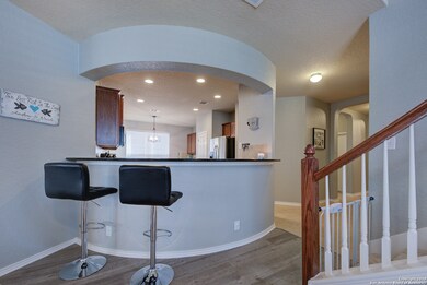 9419 Palomino Path, San Antonio, TX 78254 - photo 7