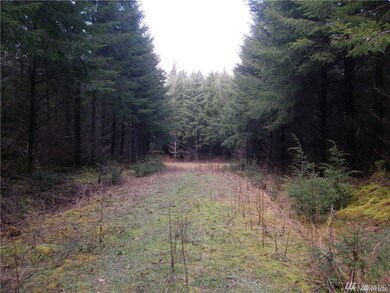 101 State Route 105, Raymond, WA 98577 - photo 3