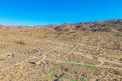 62570 Turtle Rd, Joshua Tree, CA 92252 - photo 5