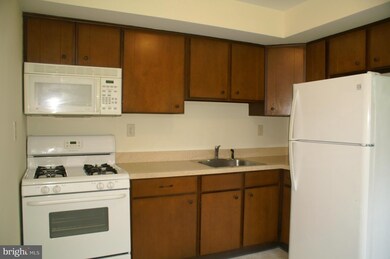 8700 Wendell Ave, Parkville, MD 21234 - photo 7