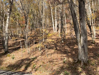 TBD Holly Meadows Rd, Parsons, WV 26287 - photo 2
