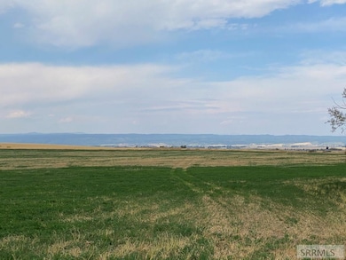 Field