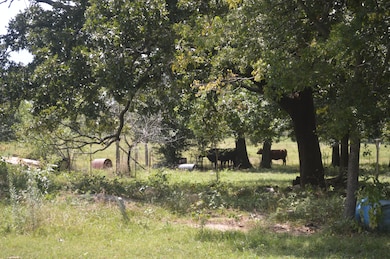 S 4650 Rd, Brushy, OK 74955 - photo 4