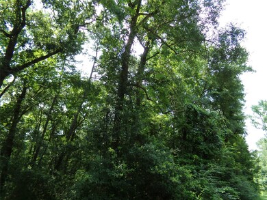 20719 New Kentucky Village, Hockley, TX 77447 - photo 3