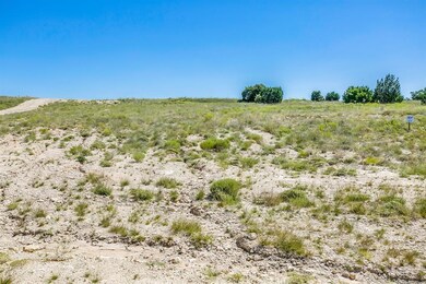 1073 Eagles Bluff Dr, Weatherford, TX 76087 - photo 7