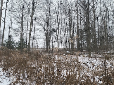 90 Williamsburg Rd, Worthington, MA 01098 - photo 6