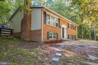 4041 Ebenezer Rd, Bluemont, VA 20135 - photo 4