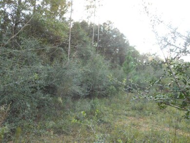 Clearing 2