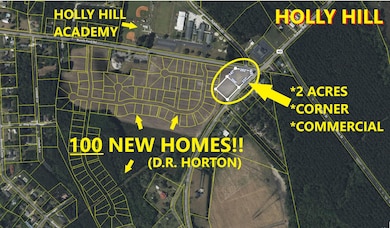 0 Eutaw Rd, Holly Hill, SC 29059 - photo 4