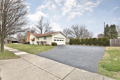 2145-Haviland-04