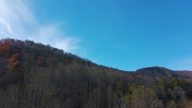 LOT 2 Eagle Heights Rd, Hiawassee, GA 30546 - photo 5