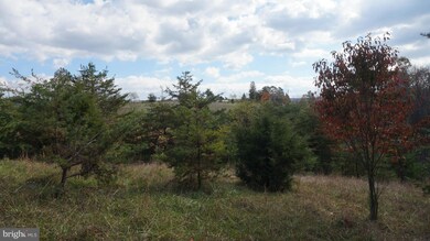 0 Jordan Hollow Ln unit 1000167925, Berkeley Springs, WV 25411 - photo 2